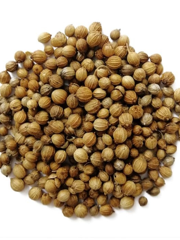 Насіння коріандру сорту Нектар