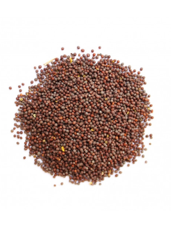 Насіння гірчиці сорту Чорна