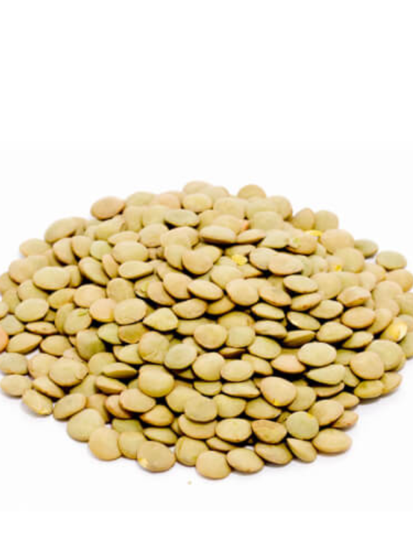 Насіння сочевиця зелена сорту Лінза