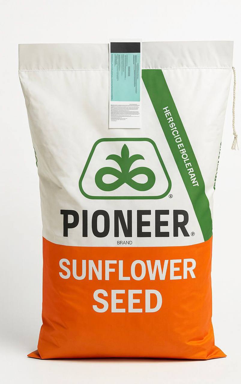 Соняшник П63ЛЛ01 (P63LL01)